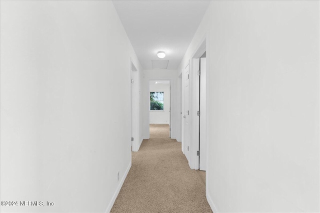 hall featuring light colored carpet