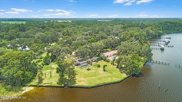 157 W Grandview Dr, East Palatka, FL 32131 - aerial view with a water view and a wooded view