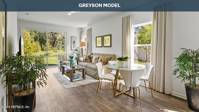 living room with dark hardwood / wood-style floors and plenty of natural light