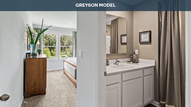 5944 Ortega Lake Dr, Jacksonville, FL 32244 - bathroom with vanity