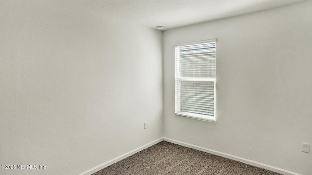 empty room featuring carpet