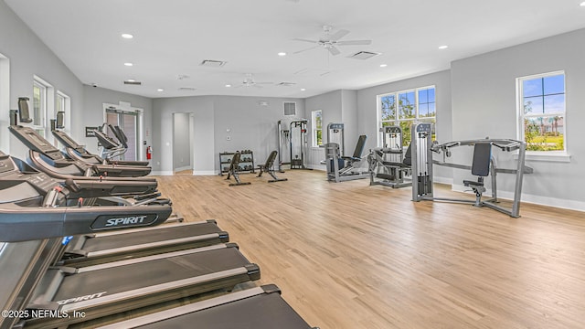 exercise room with light wood-type flooring and ceiling fan