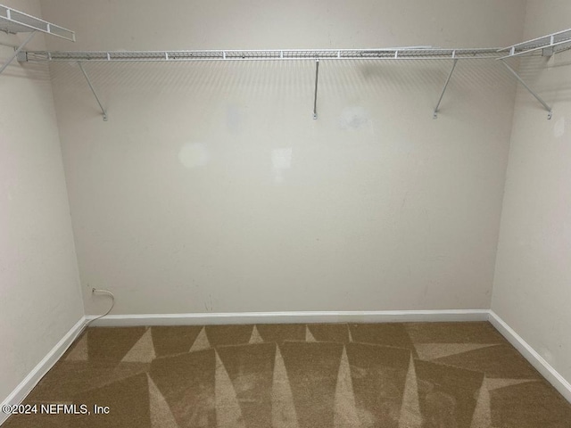 spacious closet with carpet