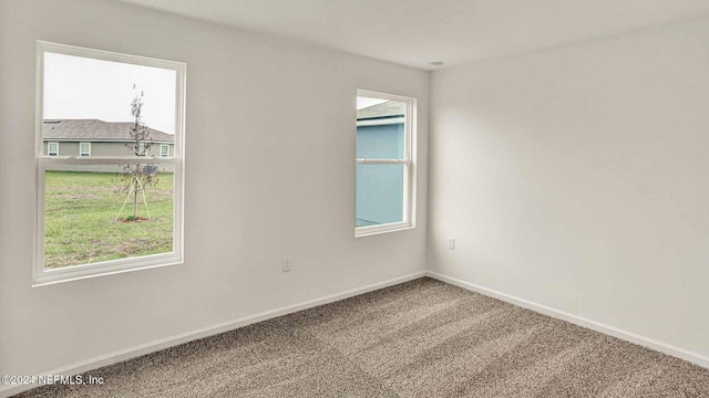 unfurnished room featuring carpet