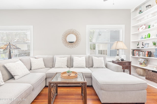 living room with ceiling fan and hardwood / wood-style flooring