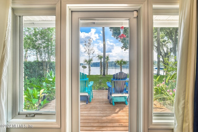 entryway with a water view and a healthy amount of sunlight