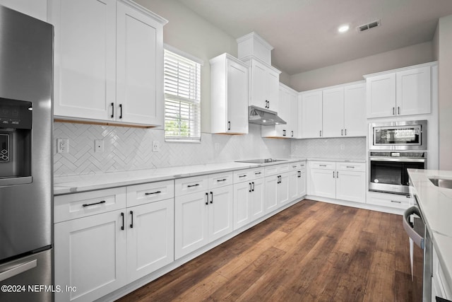 kitchen with under cabinet range hood, white cabinetry, stainless steel appliances, and light stone counters