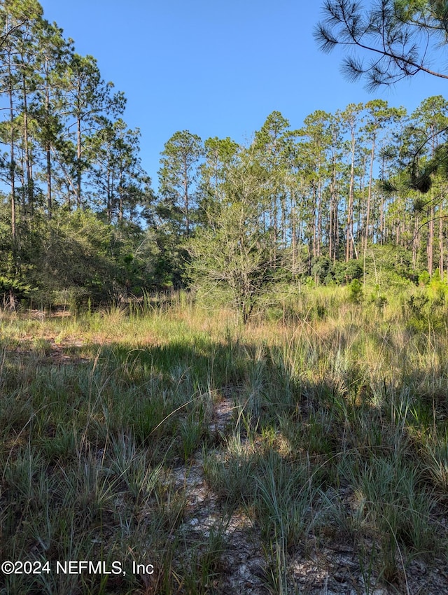 0 Garcia St, Interlachen FL, 32148 land for sale