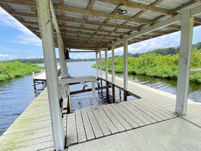 dock area with a water view