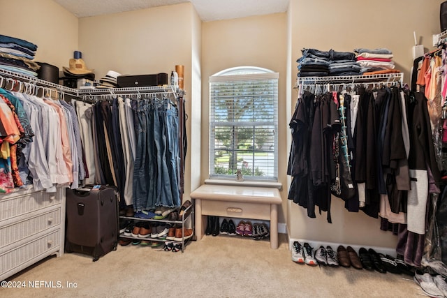 spacious closet featuring carpet flooring