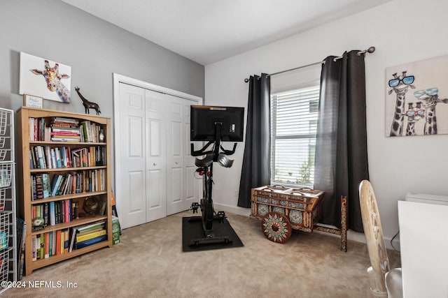 workout area with carpet floors