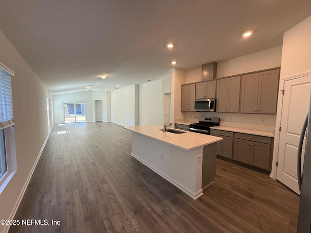 kitchen with dark wood finished floors, open floor plan, appliances with stainless steel finishes, and gray cabinetry