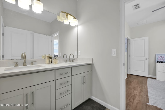 bathroom featuring hardwood / wood-style floors and vanity