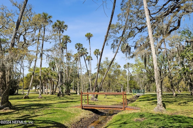 view of home's community with a lawn