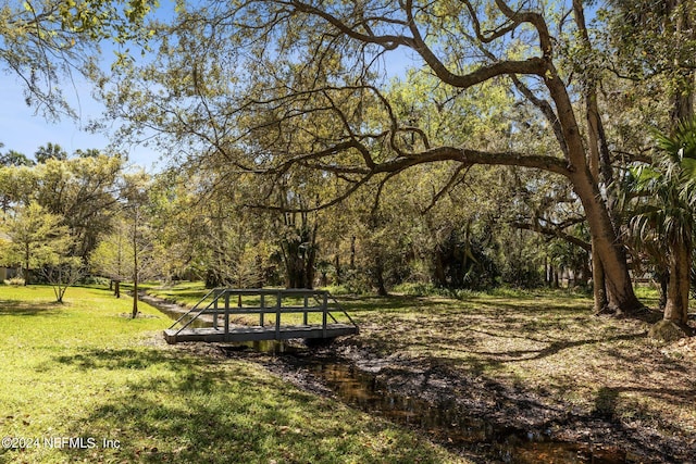 view of community featuring a yard