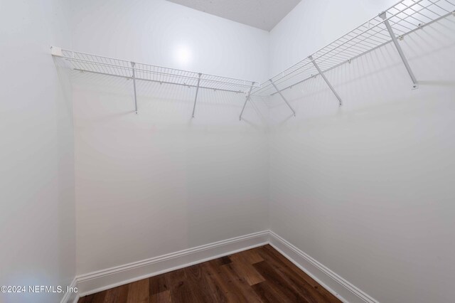 spacious closet featuring hardwood / wood-style flooring