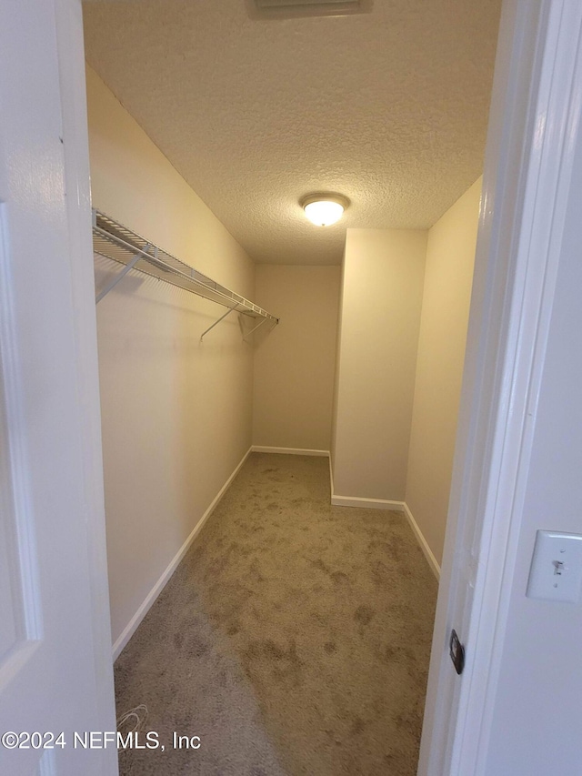 spacious closet with carpet floors