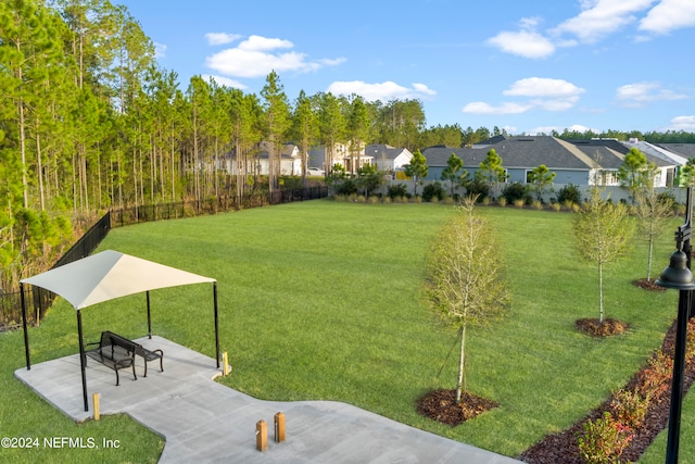 view of yard featuring a patio