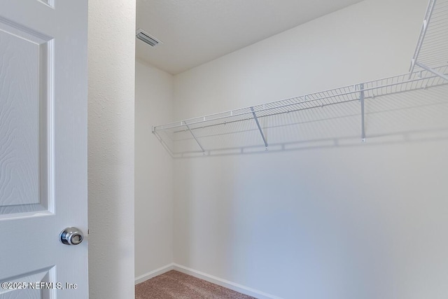 spacious closet featuring carpet flooring