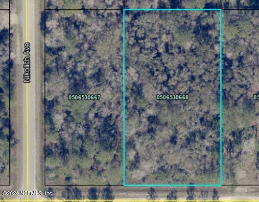 4660 Harold St, Hastings FL, 32145 land for sale