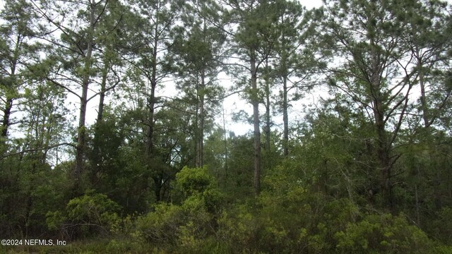 4660 Harold St, Hastings, FL 32145 - photo 2