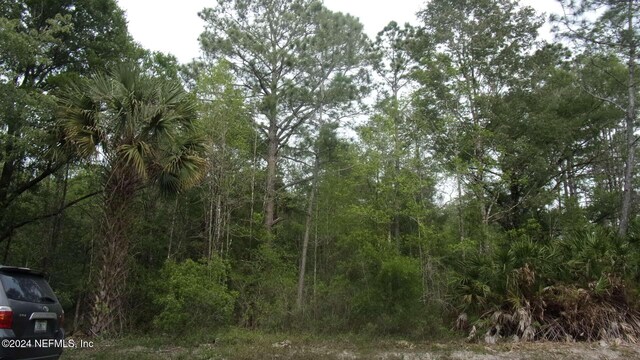 4660 Harold St, Hastings, FL 32145 - photo 3