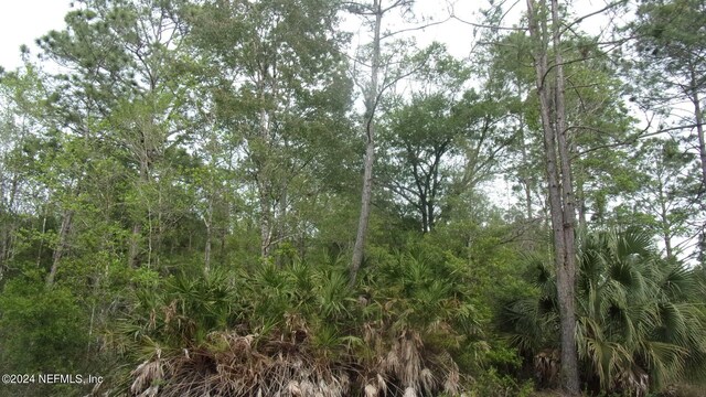 4660 Harold St, Hastings, FL 32145 - photo 4