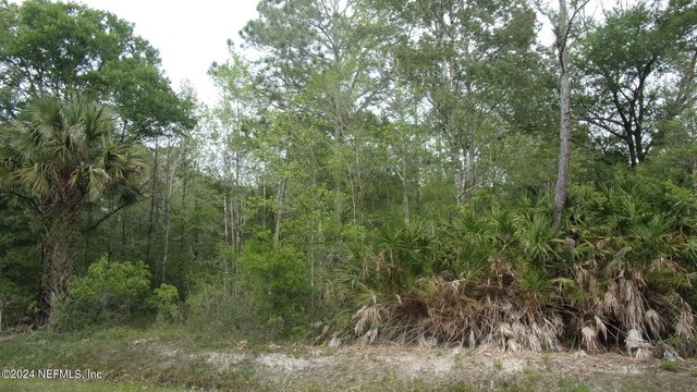 4660 Harold St, Hastings, FL 32145 - photo 5