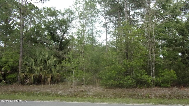 4660 Harold St, Hastings, FL 32145 - photo 6