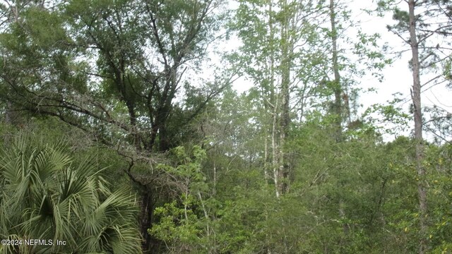 4660 Harold St, Hastings, FL 32145 - photo 7