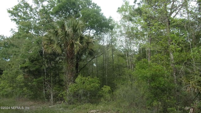 4660 Harold St, Hastings, FL 32145 - photo 8