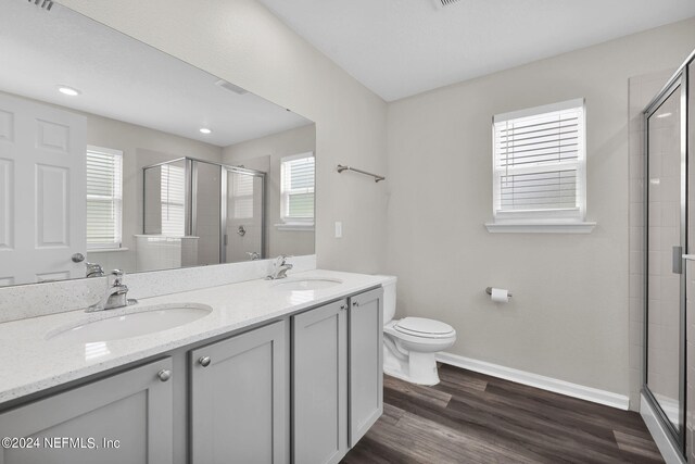 bathroom with vanity, toilet, a wealth of natural light, and an enclosed shower