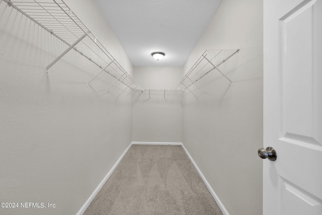 spacious closet featuring carpet floors