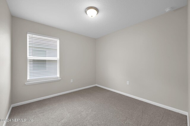 empty room featuring a textured ceiling and carpet floors