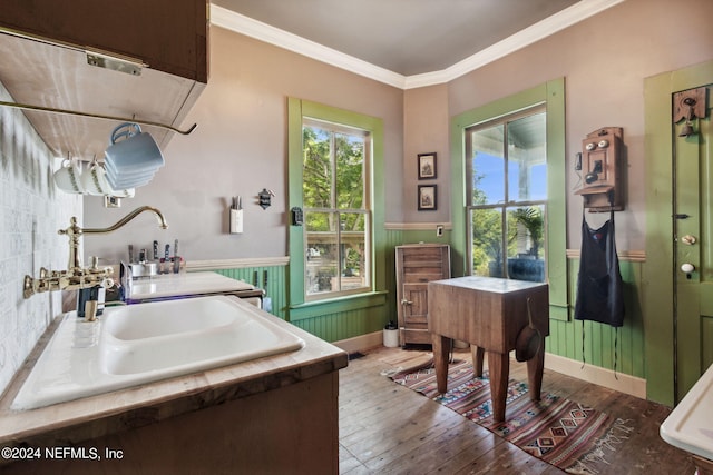 bathroom with wood-type flooring and ornamental molding