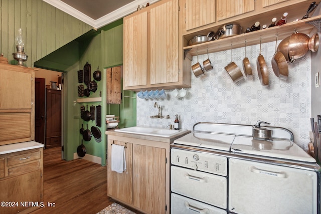 kitchen featuring backsplash, dark hardwood / wood-style floors, sink, light brown cabinets, and ornamental molding