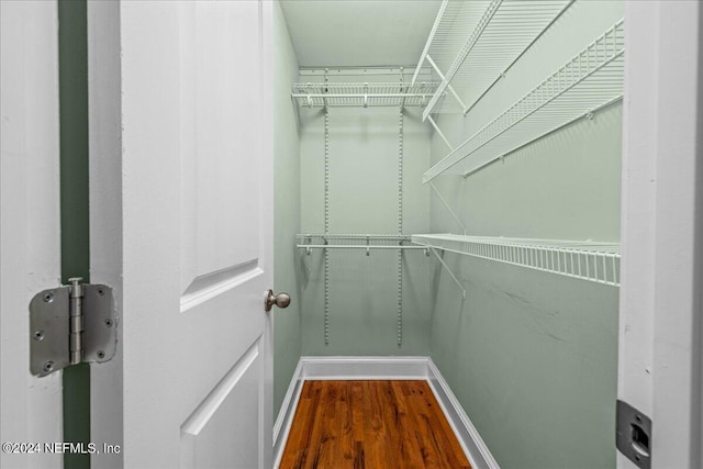 spacious closet featuring wood-type flooring