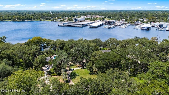 birds eye view of property with a view of trees and a water view