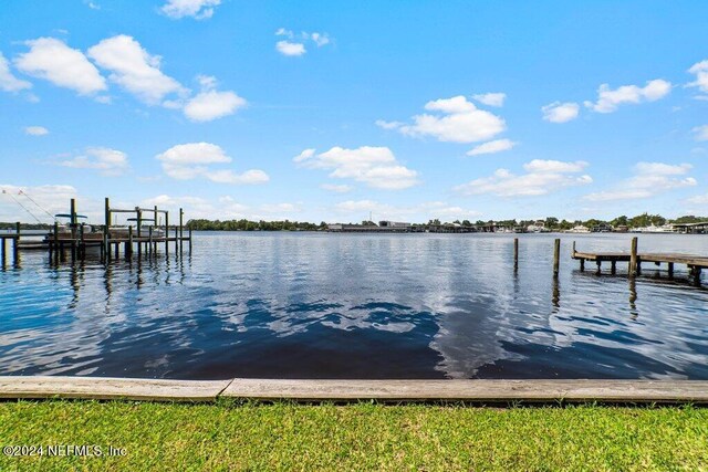 dock area with a water view