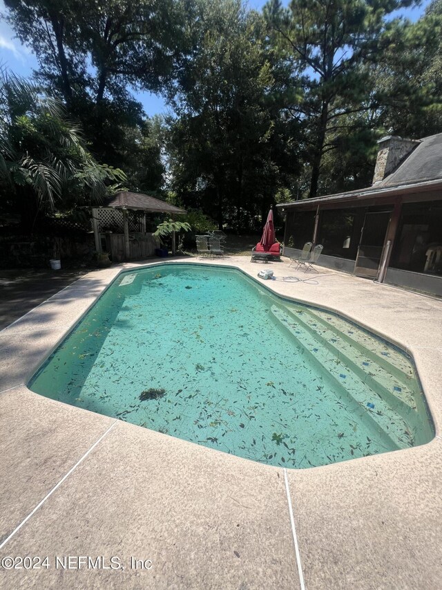 view of pool featuring a patio