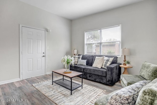 living room with light hardwood / wood-style flooring