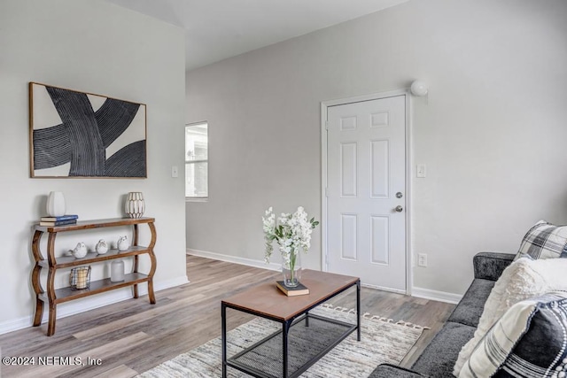 living room with light hardwood / wood-style flooring