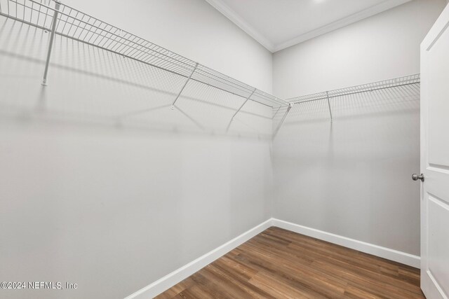 walk in closet with wood finished floors