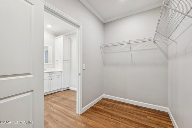 walk in closet with light wood finished floors