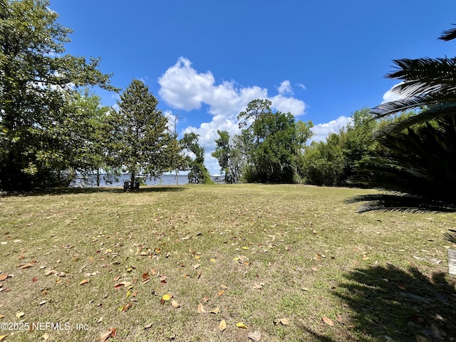 2510 Hickory Bluff Ln, Jacksonville, FL 32223 - photo 13