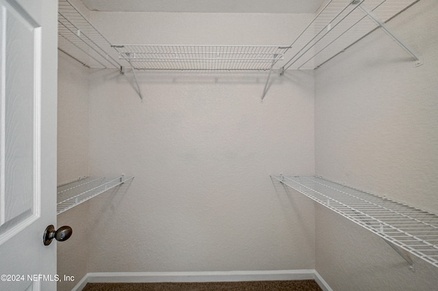 spacious closet with carpet flooring