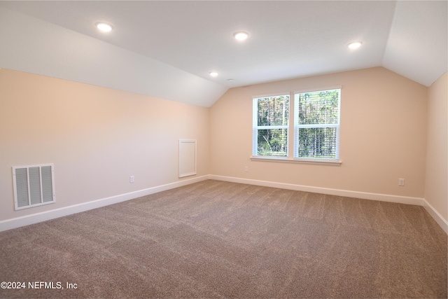 additional living space with carpet and lofted ceiling