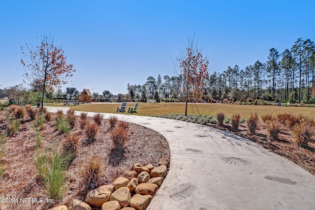 view of home's community with a yard