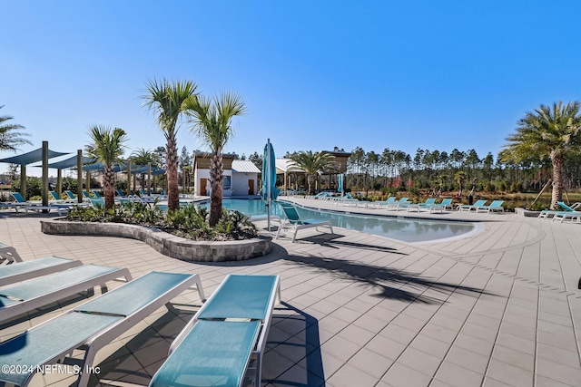 view of swimming pool with a patio