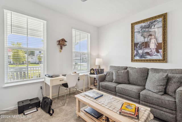 living room featuring carpet flooring